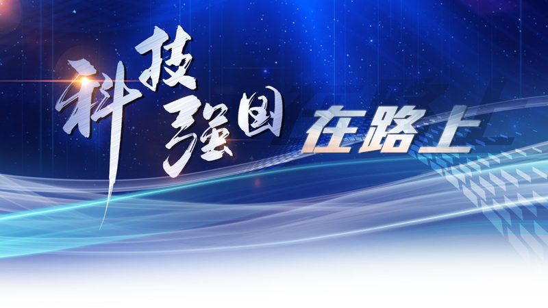 数据库运维服务内容有哪些